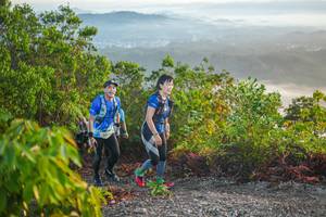 BIB: 
                            <button type="button" onclick="openModal(21874344)" class="btn btn-primary btn-sm float-right btn-popup" data-toggle="modal" data-target=".modal-high-quality">
                        <i class="fas fa-shopping-cart"></i> Add to Cart
                    </button>
                                            <button type="button" onclick="isThisMe(21874344, true)" class="btn btn-success btn-sm float-right btn-popup btn-isme hidden" data-toggle="tooltip" data-placement="bottom" title="นี่คือรูปของคุณใช่ไหม คลิกที่นี่เพื่อเอาเข้าอัลบั้ม">
                        <i class="fas fa-plus"></i> Add to album
                    </button>
                    <button type="button" onclick="isThisMe(21874344, false)" class="btn btn-warning btn-sm float-right btn-popup btn-isnotme hidden">
                        <i class="fas fa-ban"></i> Remove from album
                    </button>